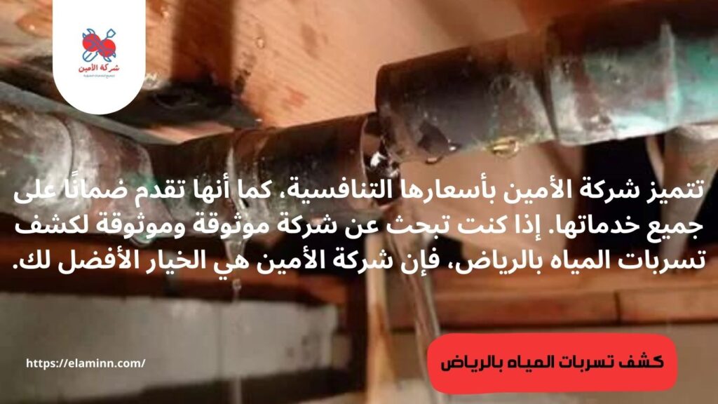 أهم النصائح لتجنب حدوث تسربات مياه في منزلك