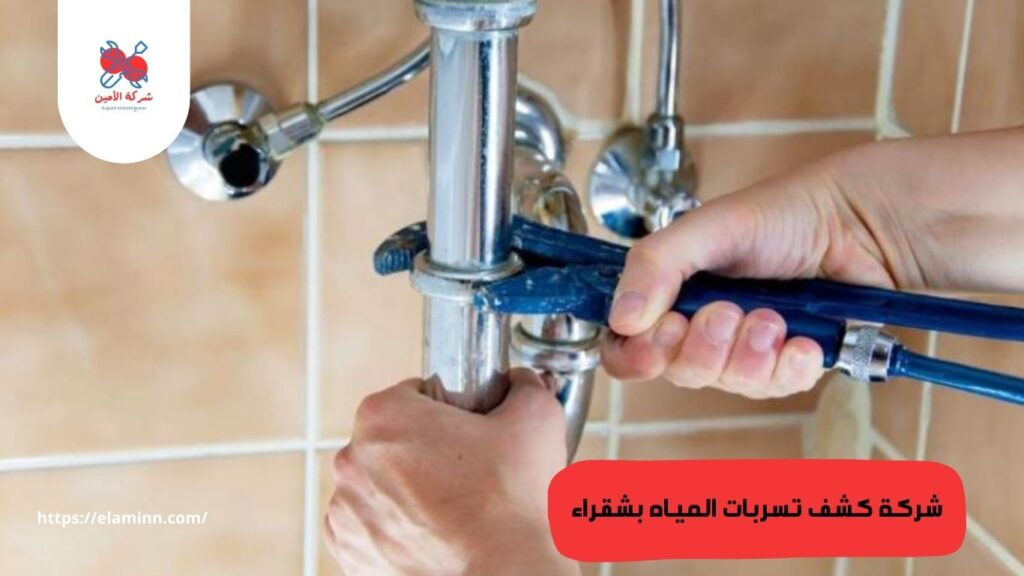 تواصل مع شركة الأمين لكشف التسربات