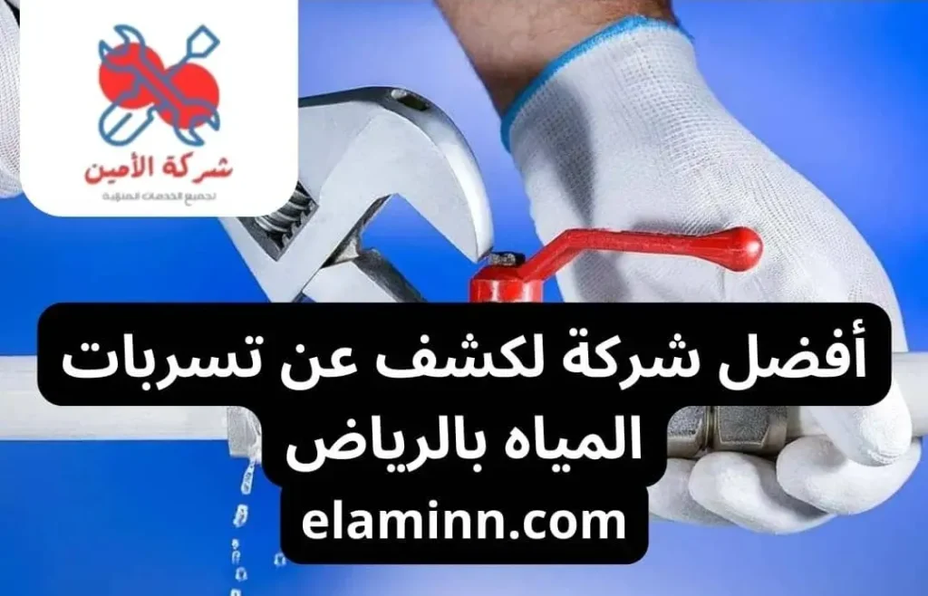 الكشف عن تسربات المياه داخل العقار