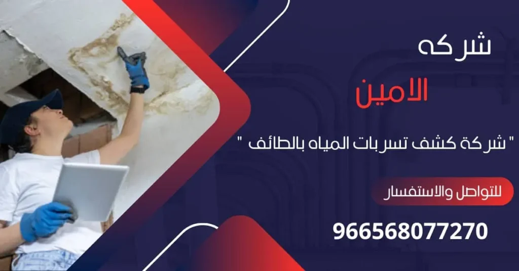 شركة كشف تسربات المياه بالطائف​